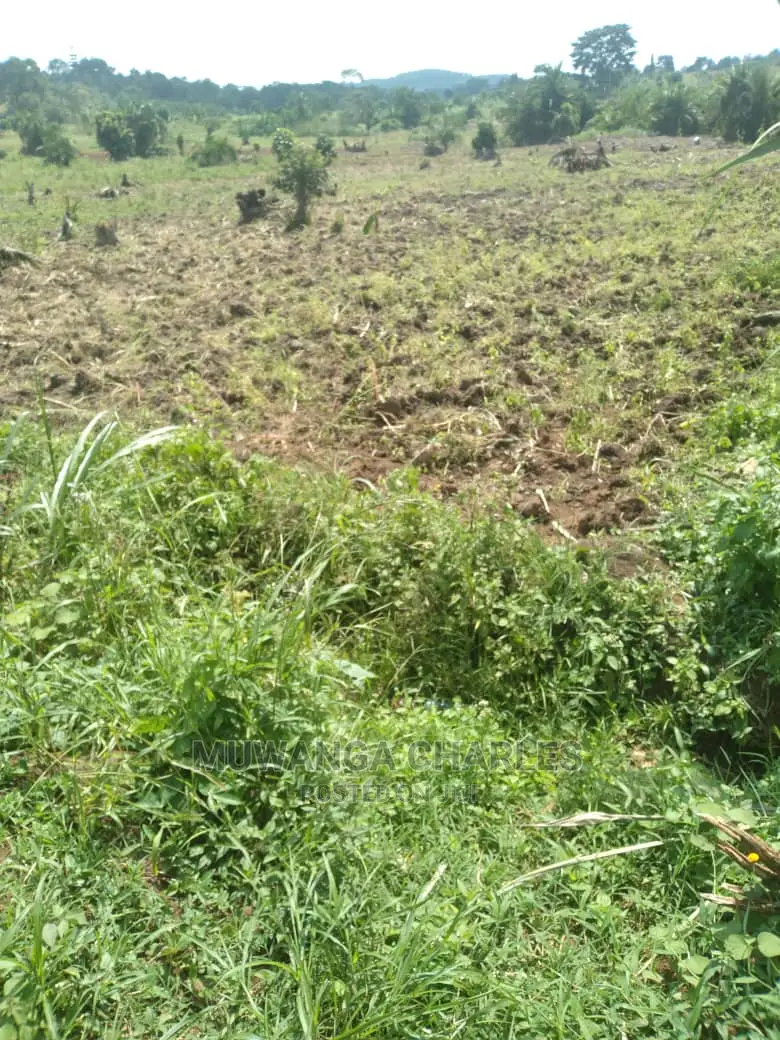 100by50ft Plot of Land for Sale at Gayaza Namulonge in Central Division