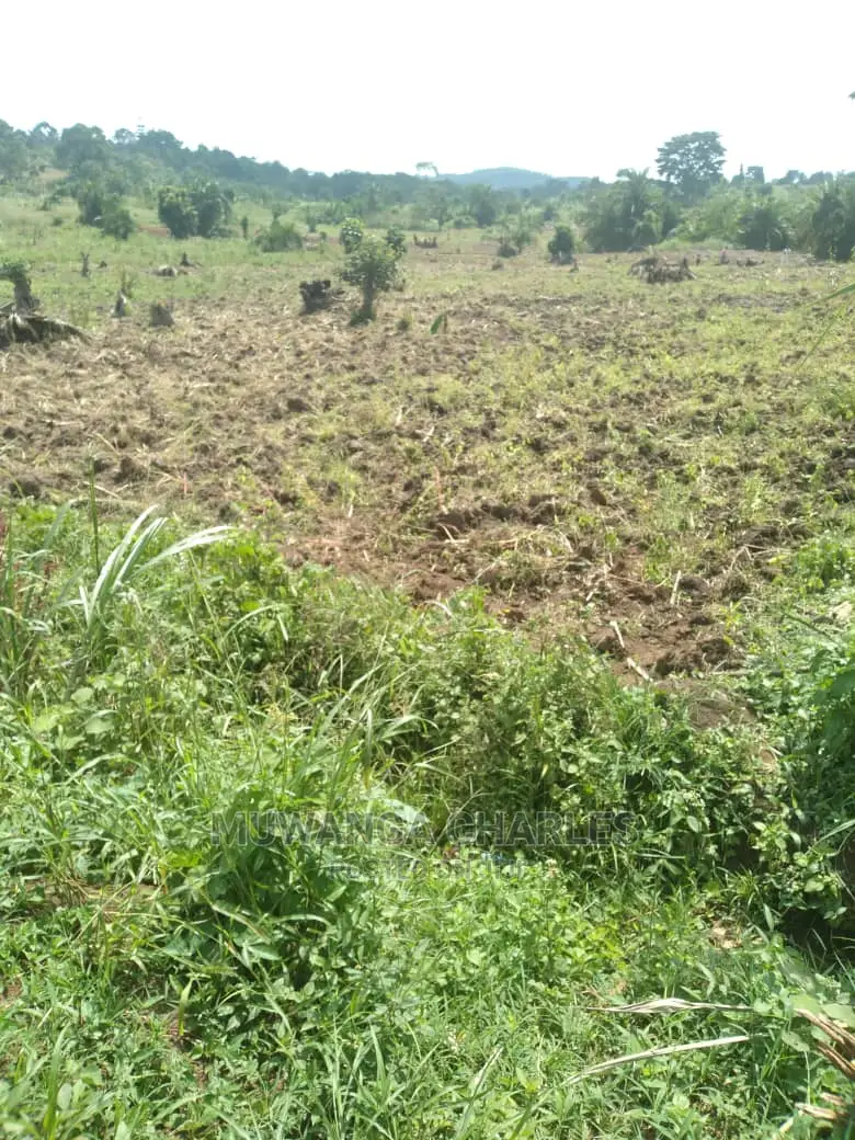 100by50ft Plot of Land for Sale at Gayaza Namulonge in Central Division