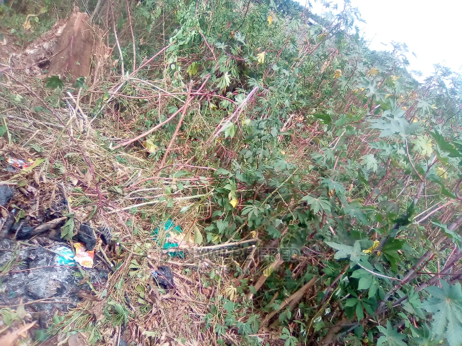 24 Acres of Industrial Land for Sale in Walusubi in Nama