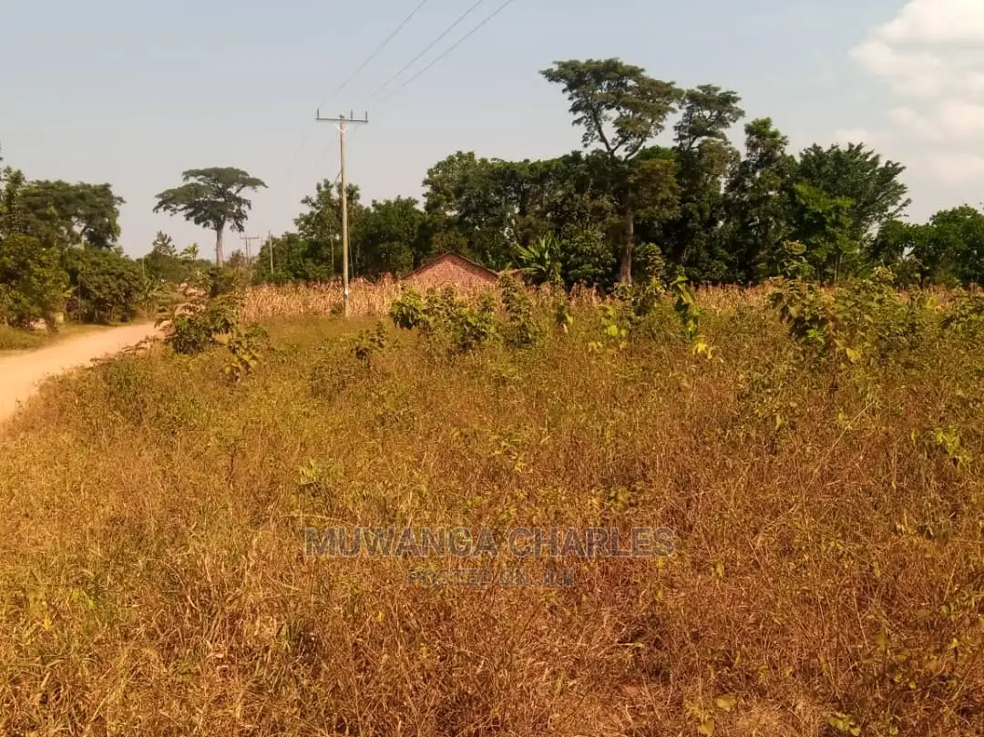 100by50ft Plot of Land for Sale at Busukuma Gayaza in Rubaga