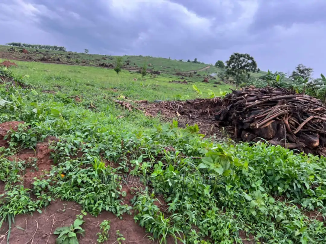 100by50ft Plot of Land for Sale at Busika in Central Division