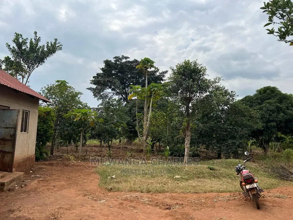 5acres for Sale at Janda Zirobwe in Central Division