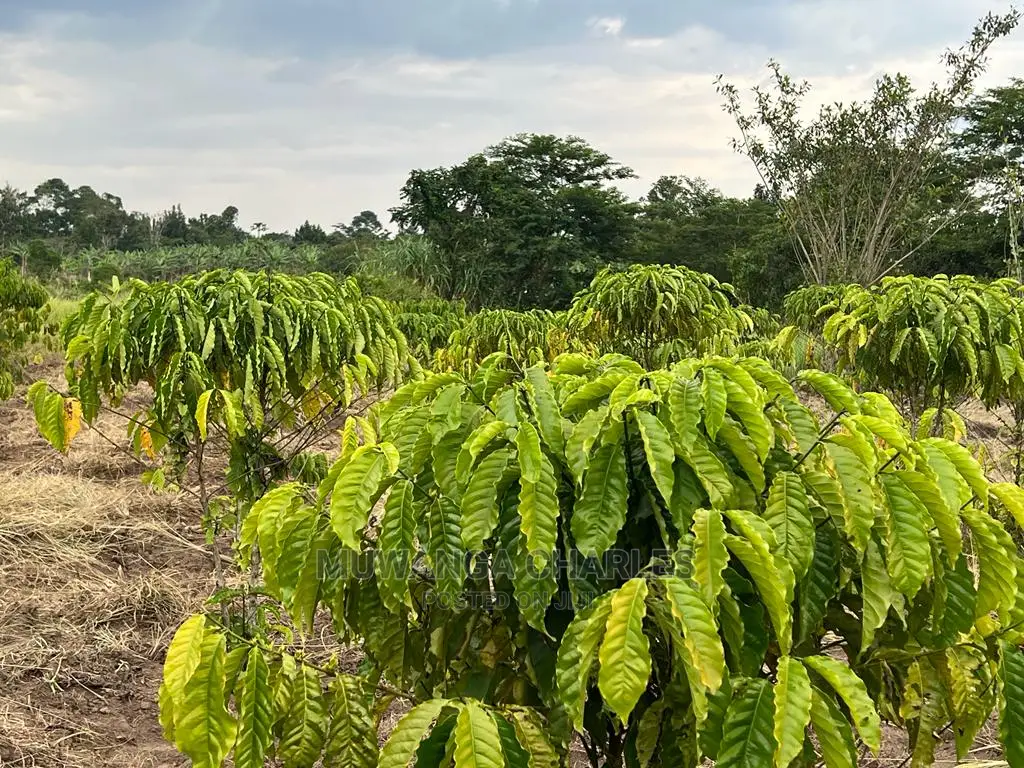 5acres for Sale at Janda Zirobwe in Central Division