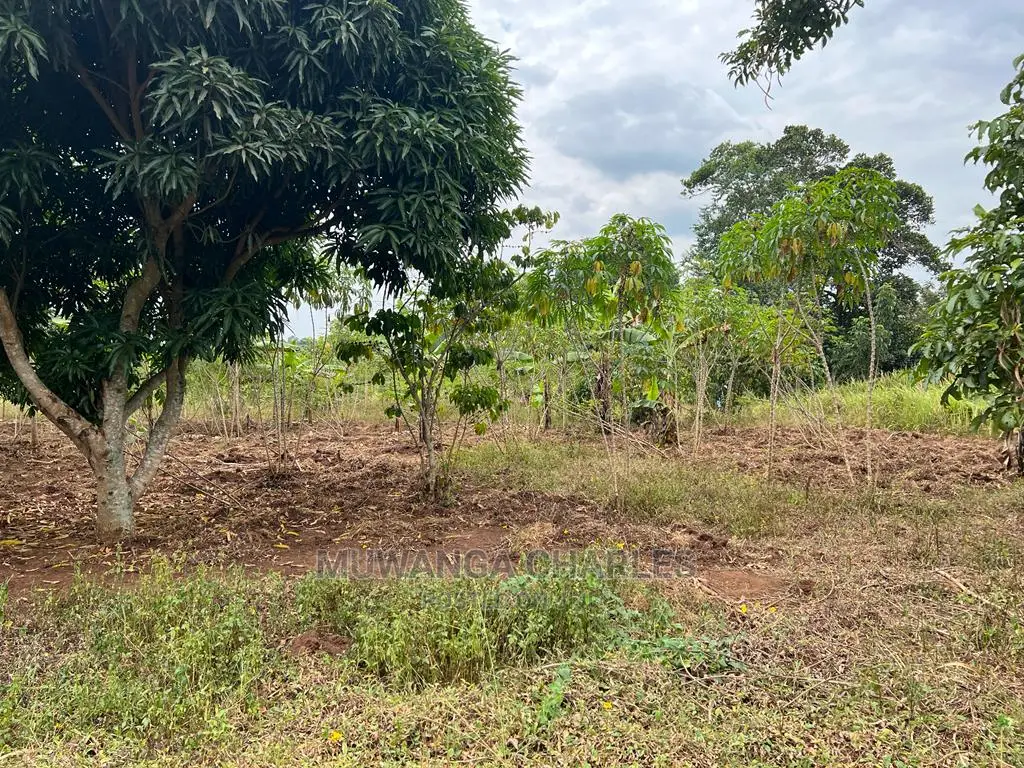 5acres for Sale at Janda Zirobwe in Central Division