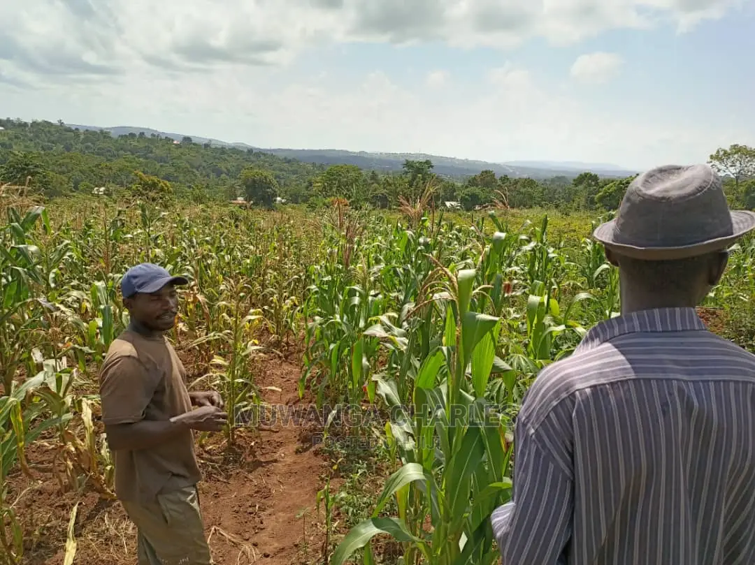 20acres for Sale at Luwero in Central Division
