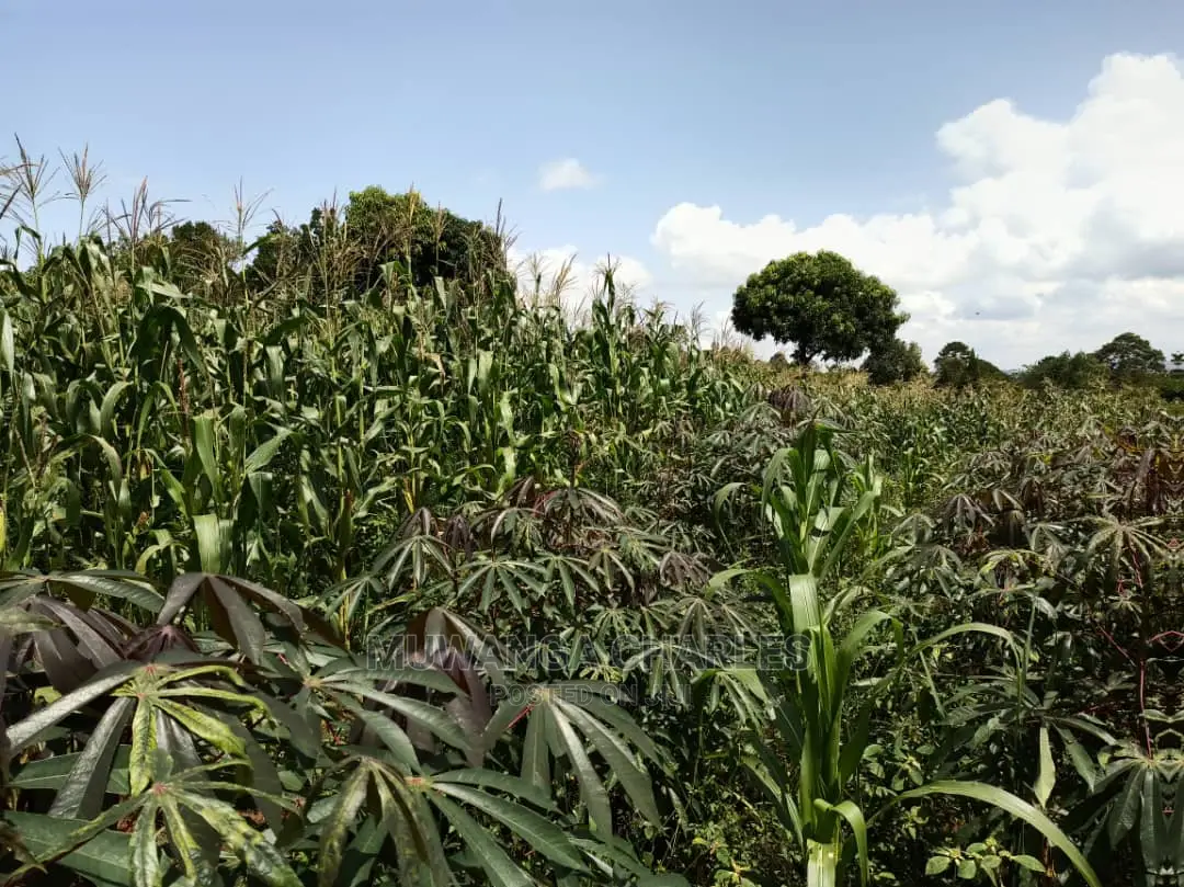 20acres for Sale at Luwero in Central Division