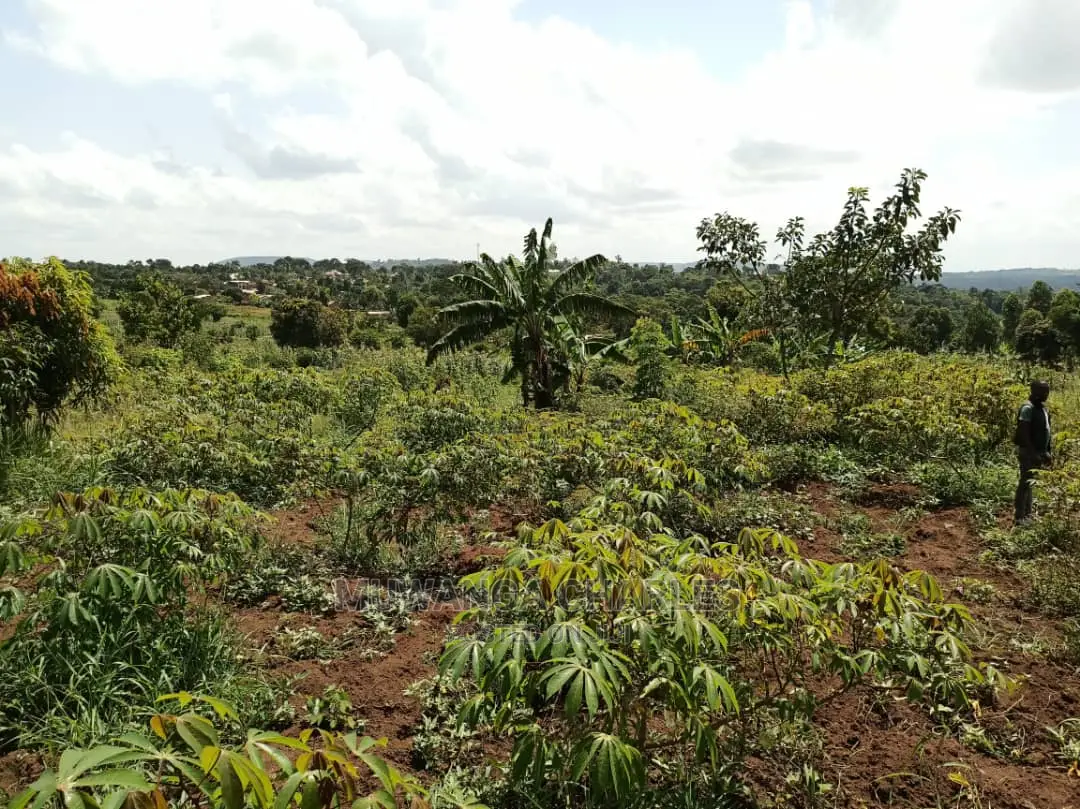 20acres for Sale at Luwero in Central Division