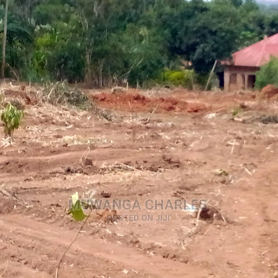 12decimals Plot of Land for Sale at Busukuma in Central Division