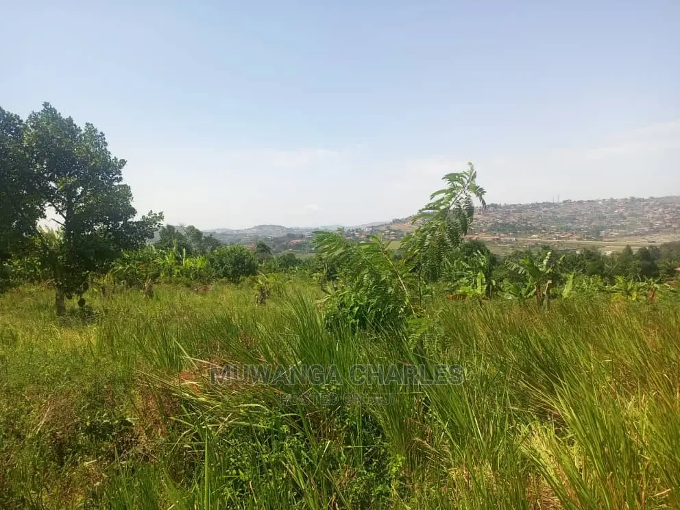 10ares of Land for Sale at Zirobwe in Central Division