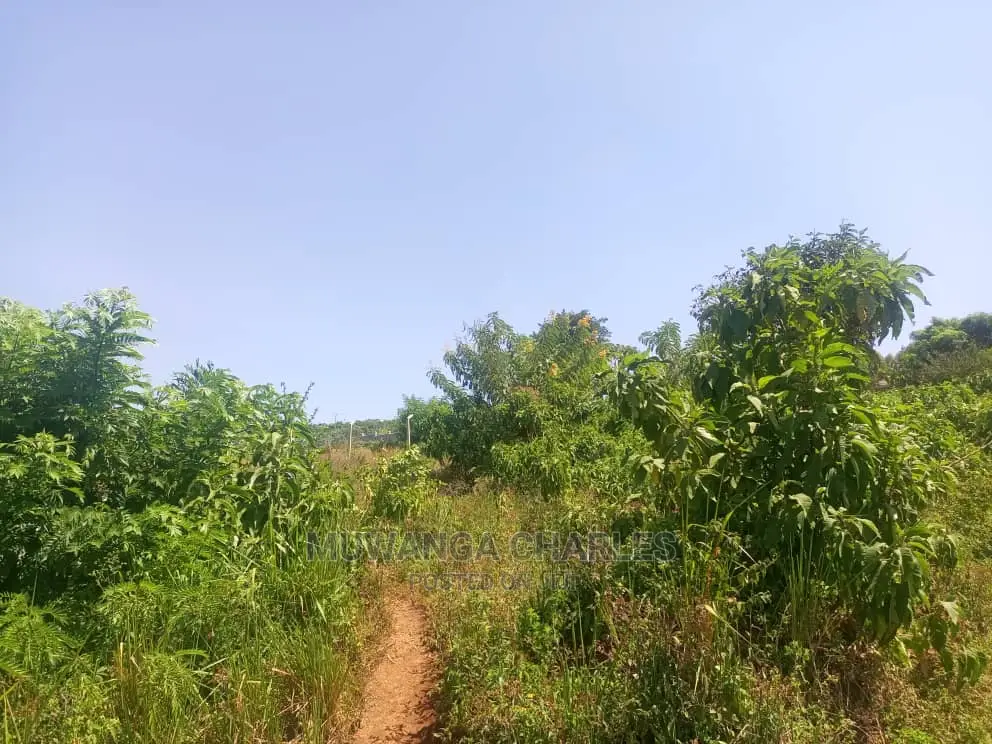 10ares of Land for Sale at Zirobwe in Central Division