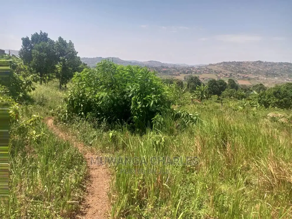 10ares of Land for Sale at Zirobwe in Central Division