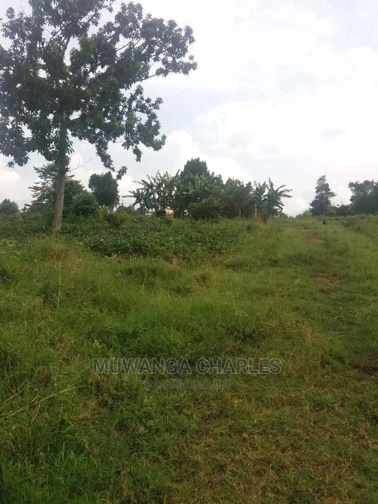 100by50ft Plot of Land for Sale at Busukuma in Central Division