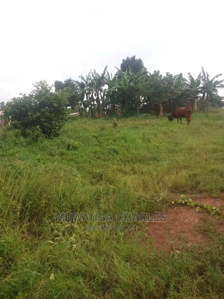 100by50ft Plot of Land for Sale at Busukuma in Central Division