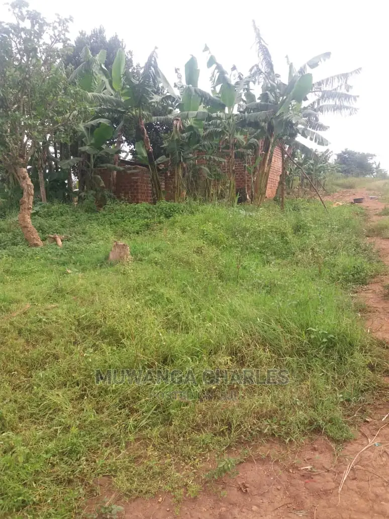 100by50ft Plot of Land for Sale at Busukuma in Central Division