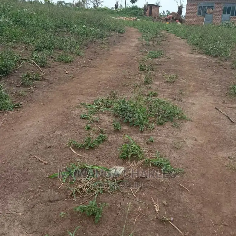 100by50ft Plot of Land for Sale at Busukuma in Central Division