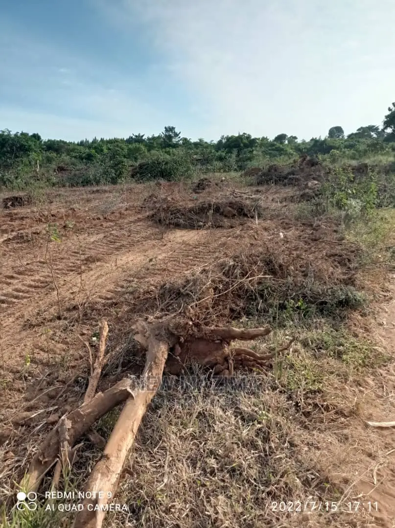 Very Nice Plots on Quicksale in Kamengo With Lake View in Central Division