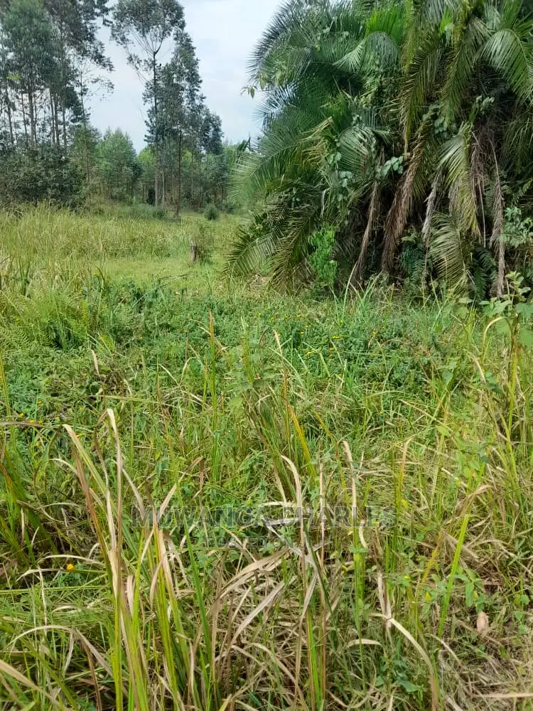 100acres for Sale at Nakaseke in Central Division