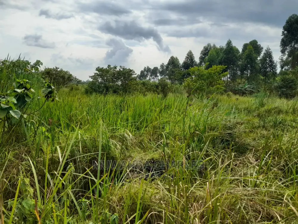 100acres for Sale at Nakaseke in Central Division