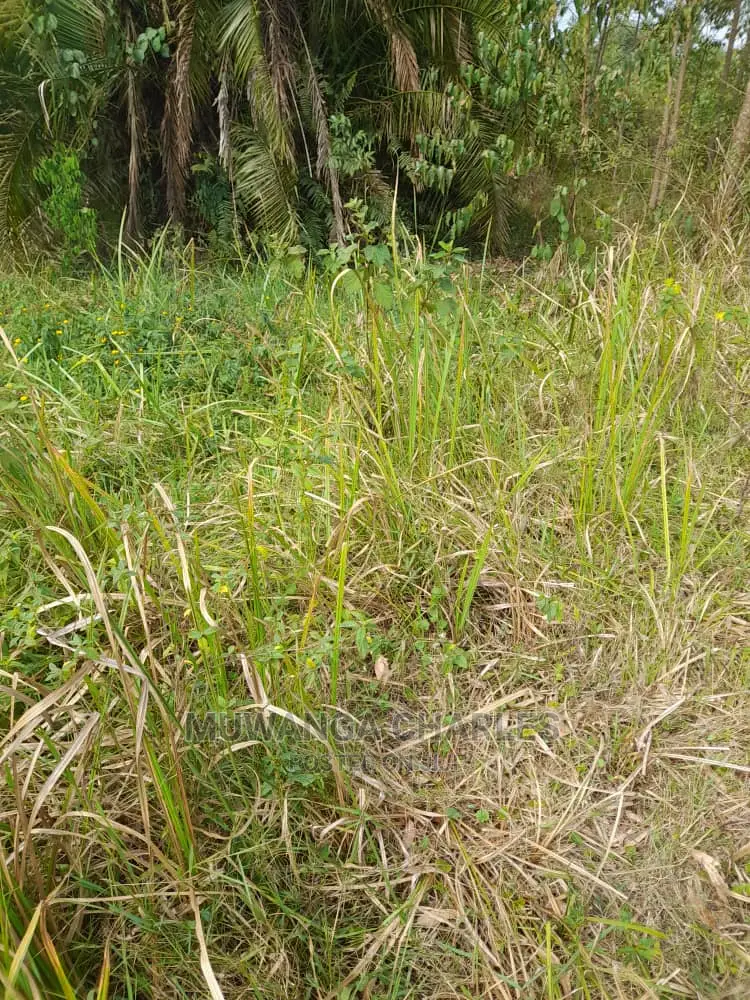 100acres for Sale at Nakaseke in Central Division