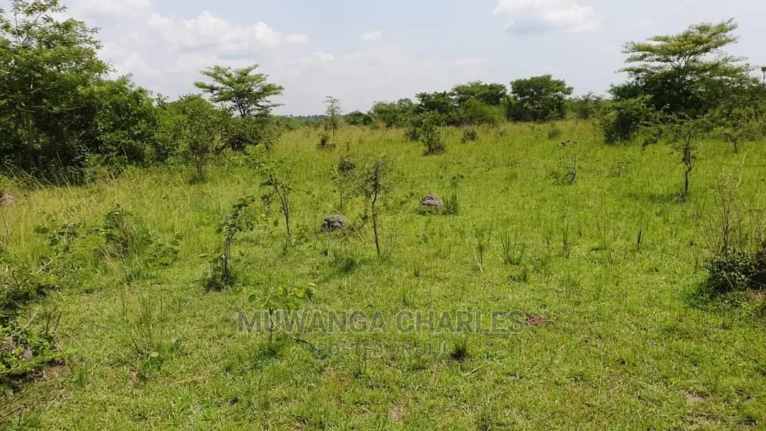 100acres for Sale at Nakaseke in Central Division