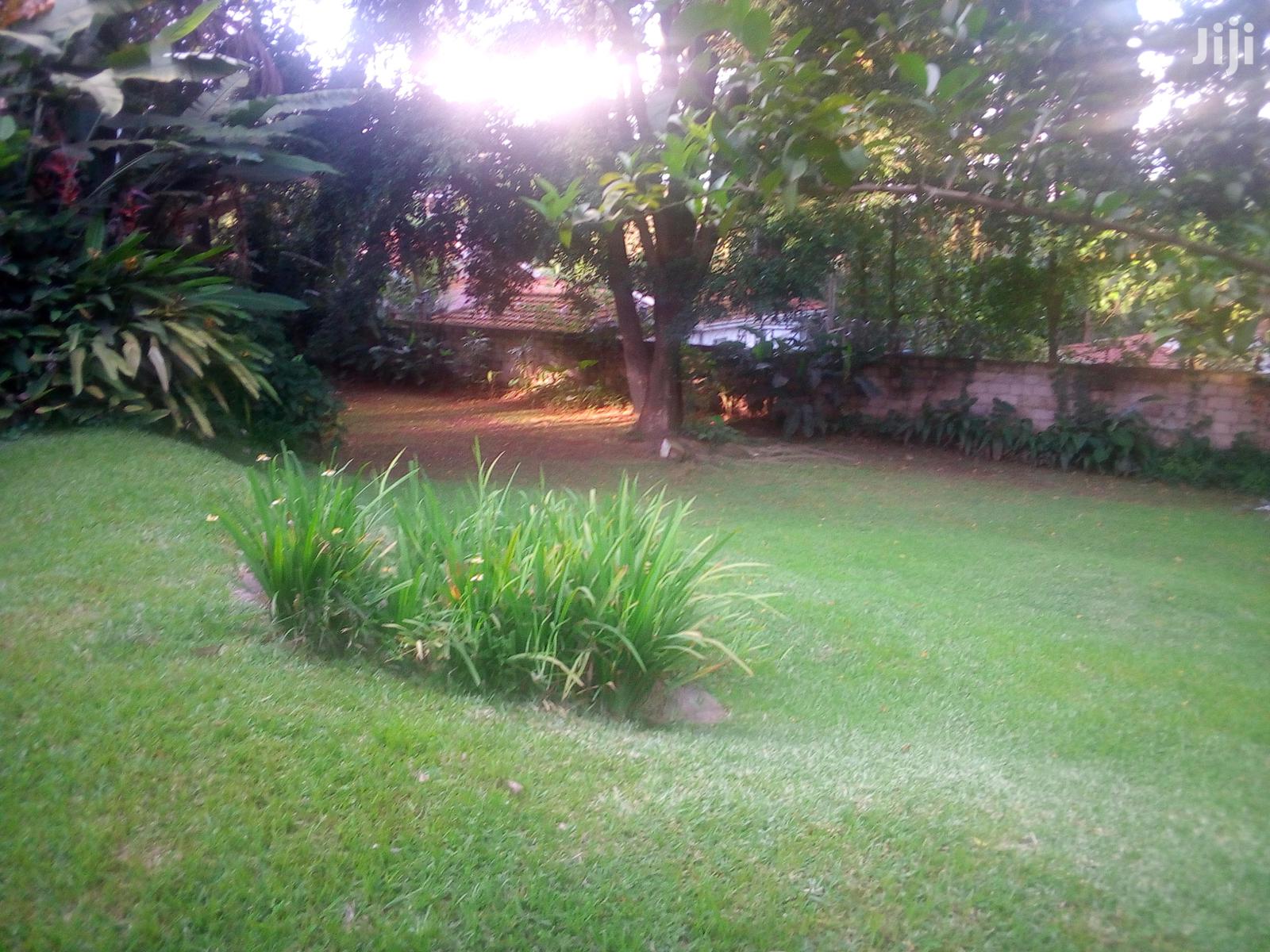 Three Bedroom Bungalow For Rent in Kampala