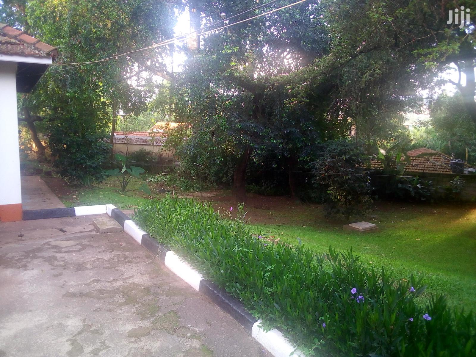 Three Bedroom Bungalow For Rent in Kampala