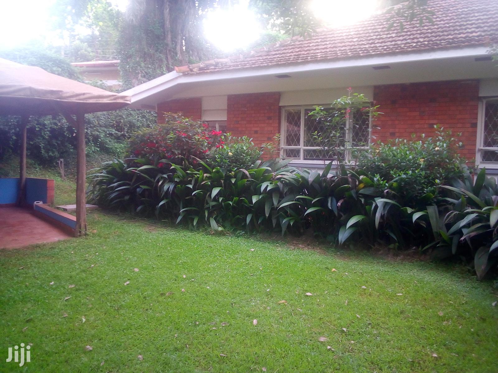 Three Bedroom Bungalow For Rent in Kampala