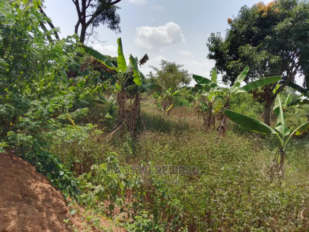 2acres of Farmland for Sale in Kikyusa in Kikyusa