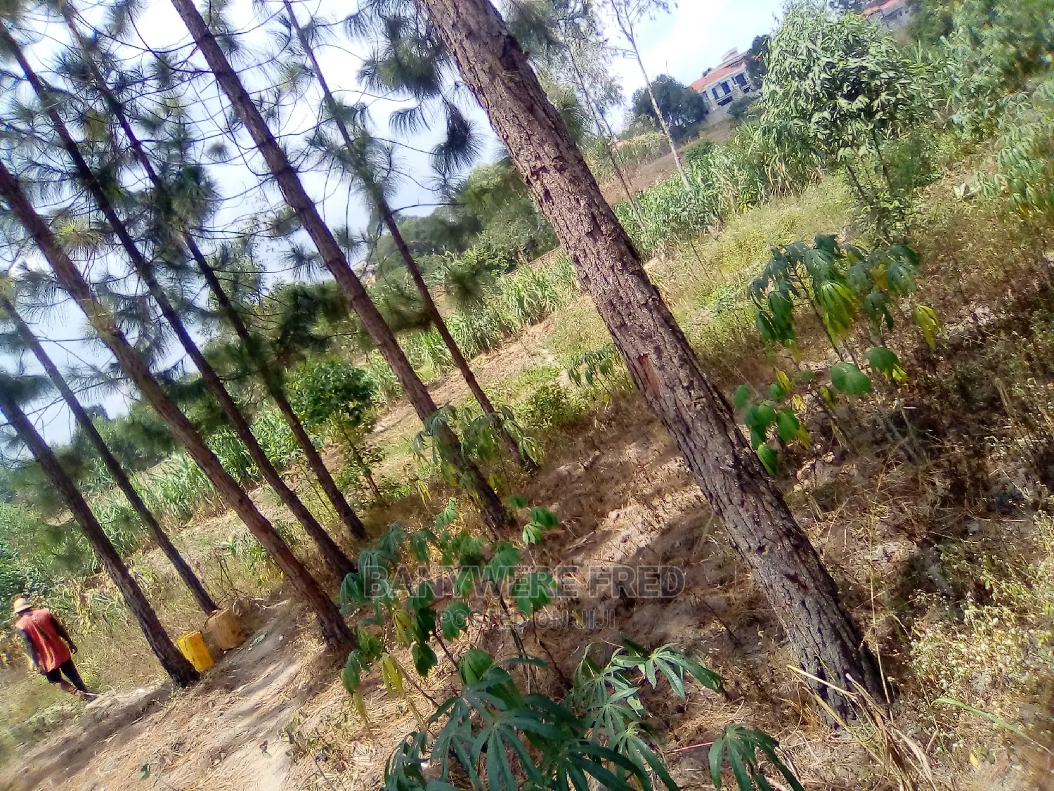2acres of Land for Sale in Mbalwa in Kira