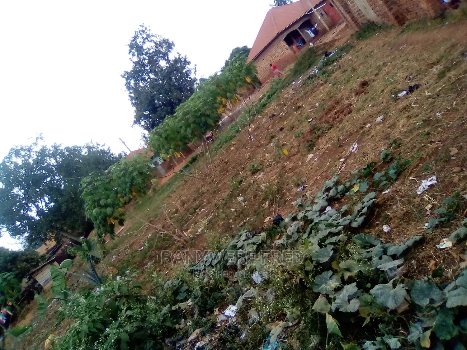 18 Decimal for Sale in Namugongo in Kira