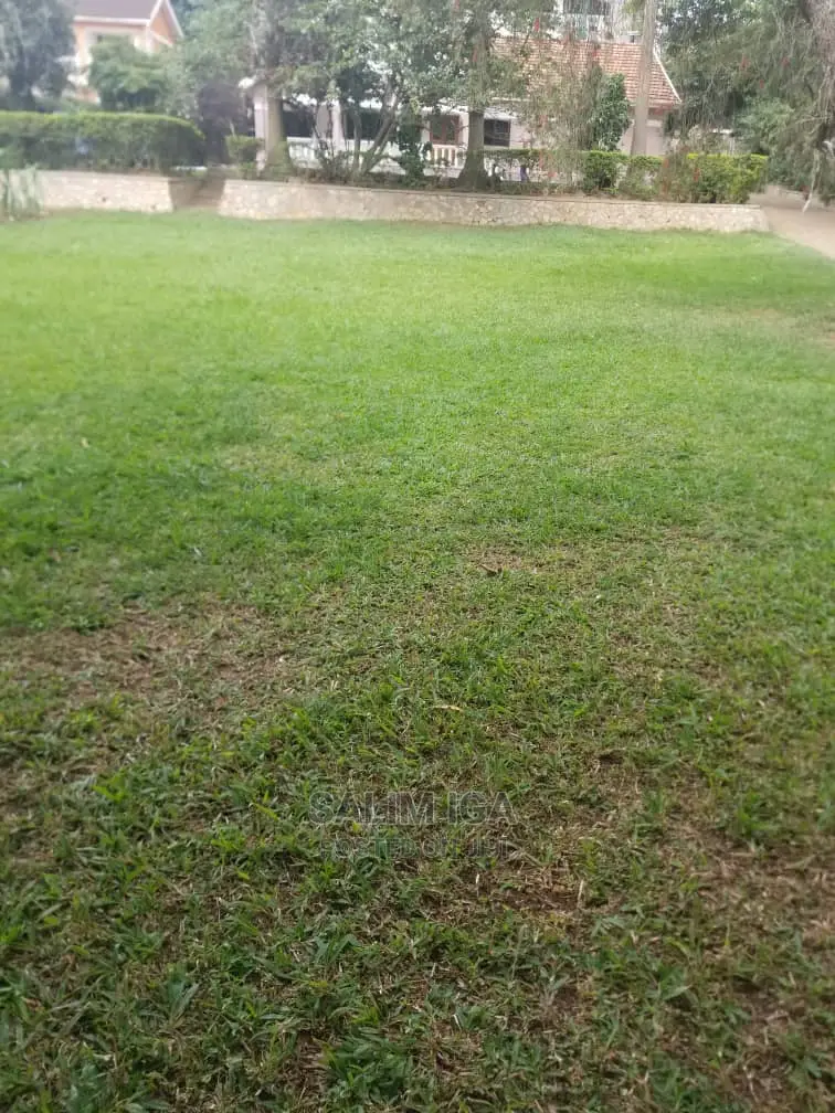 4bdrm Bungalow in Kololo Property, Central Division for Rent in Central Division