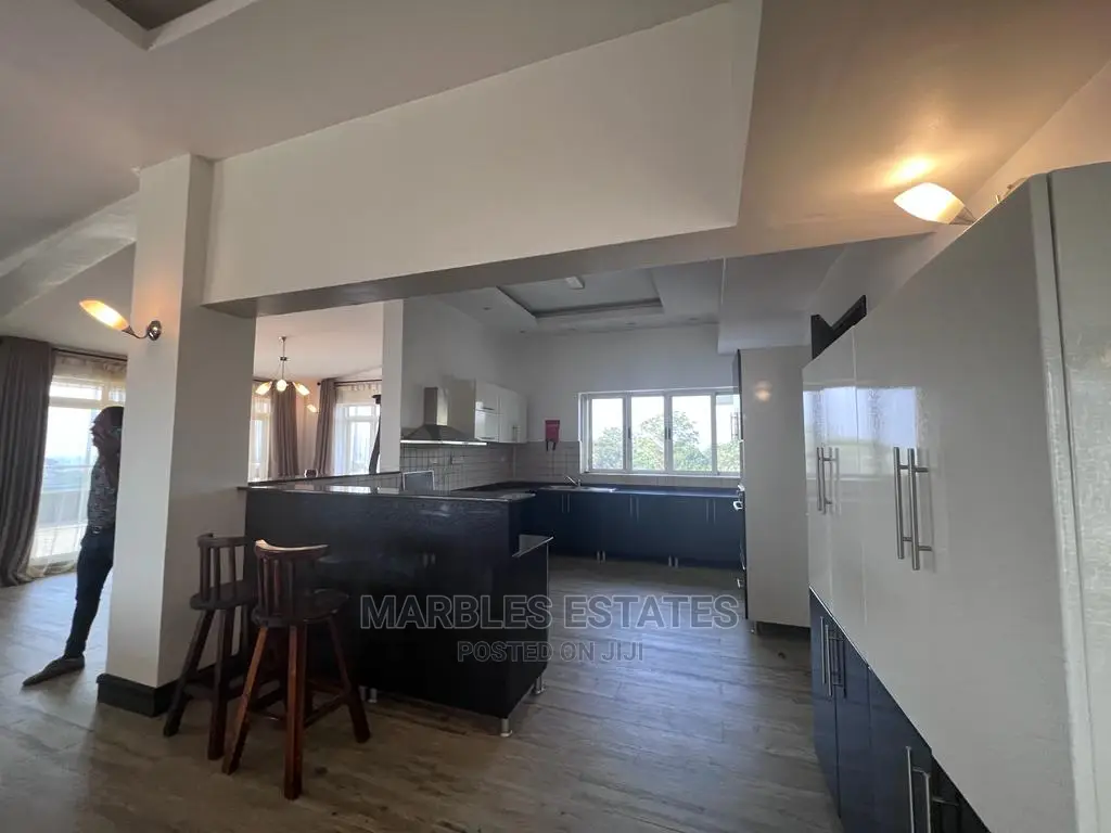 Furnished 4bdrm Apartment in Kololo, Central Division for Rent in Central Division