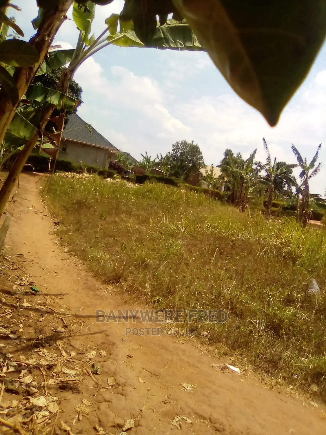 60/100 Plot for Sale in Kabubu in Nangabo