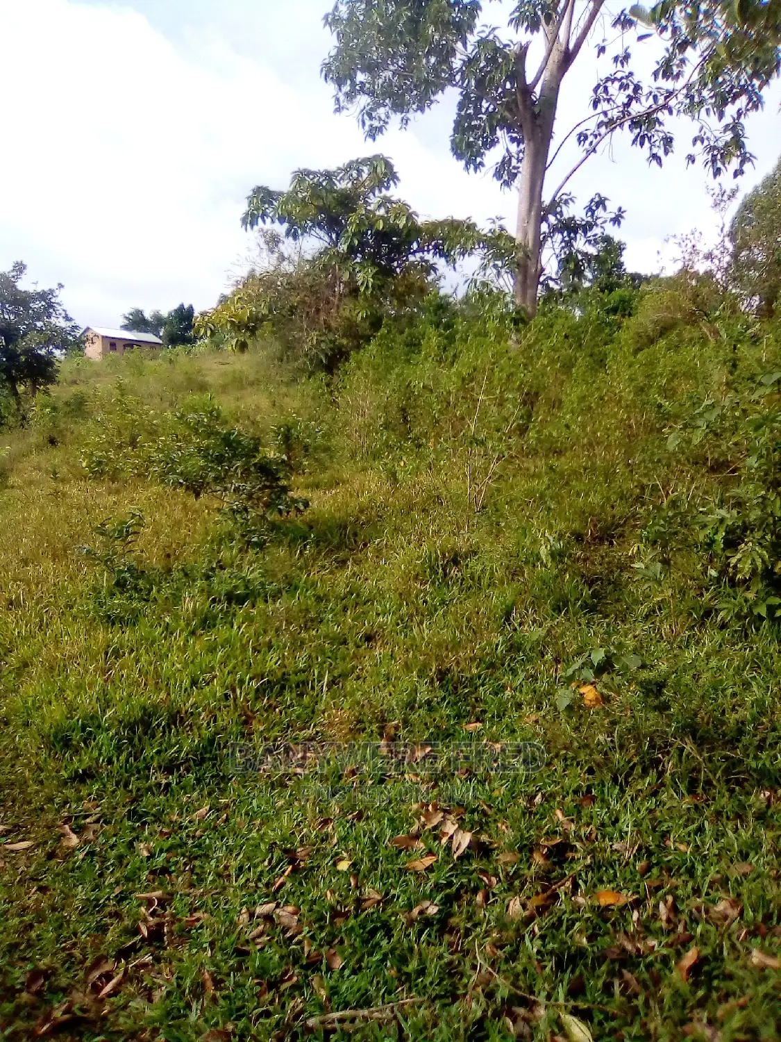 7acres of Farmland for Sale in Nagojje in Nagojje