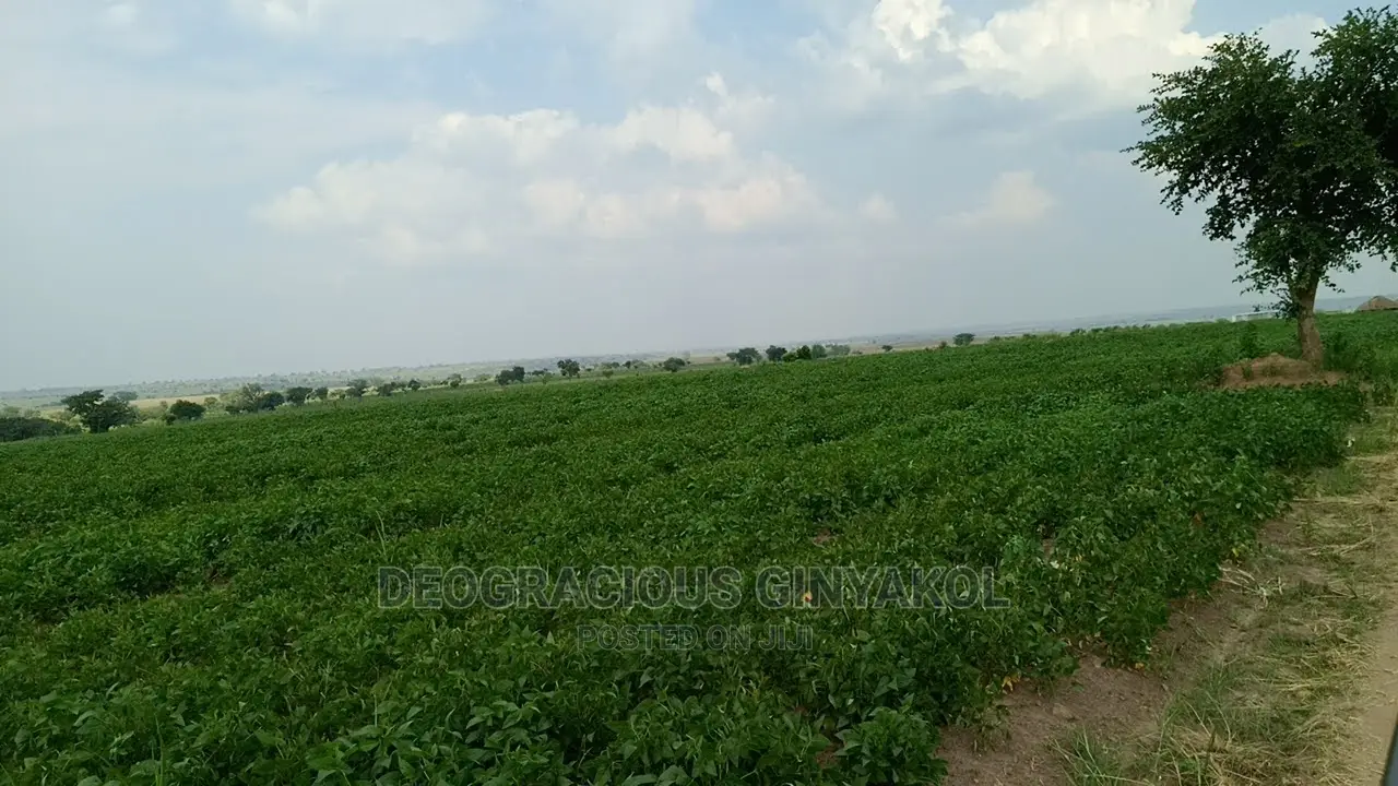 Fertile Farmland for Sale in Northern Uganda in Gulu