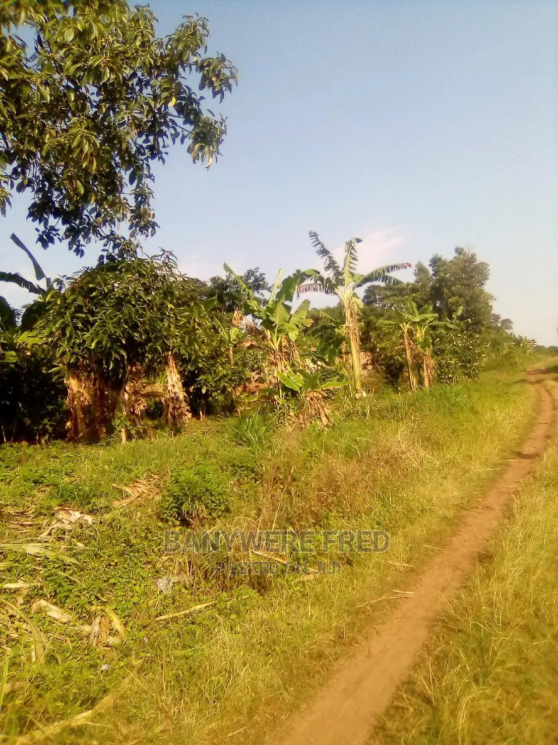 7 Acres Of Farmland For Sale In Manda Lugazi in Kimenyedde