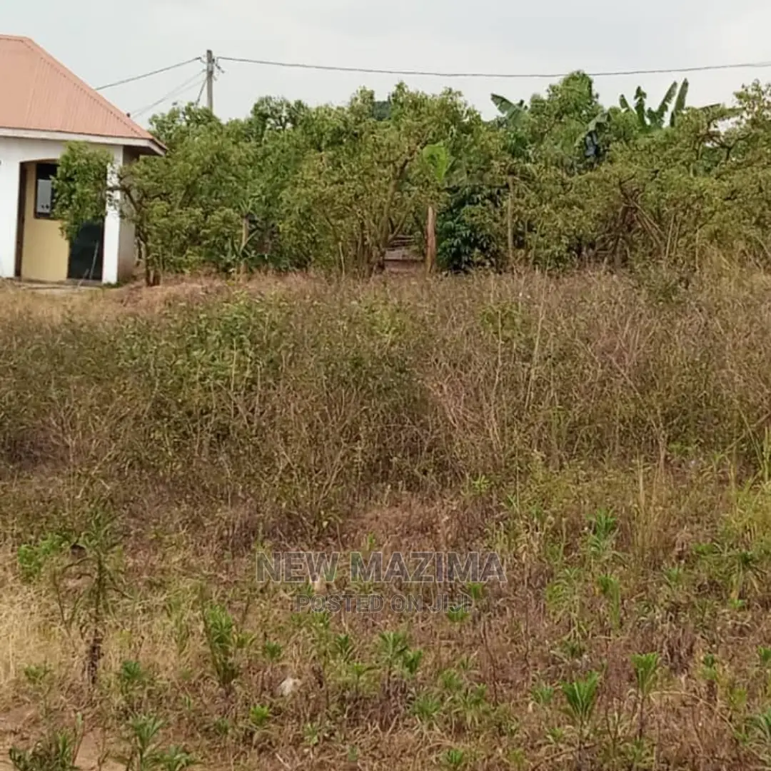 Very Affordable Plot Quicksale Just After Seguku in Kasenge in Central Division