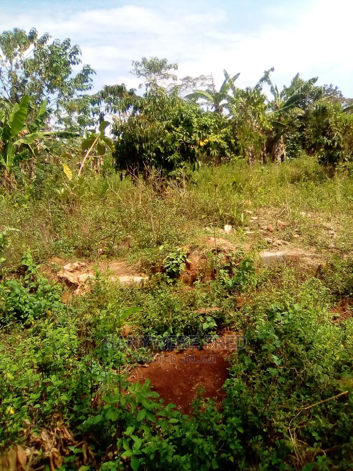 8 Acres for Sale in Ntenjeru in Ntenjeru / Mukono