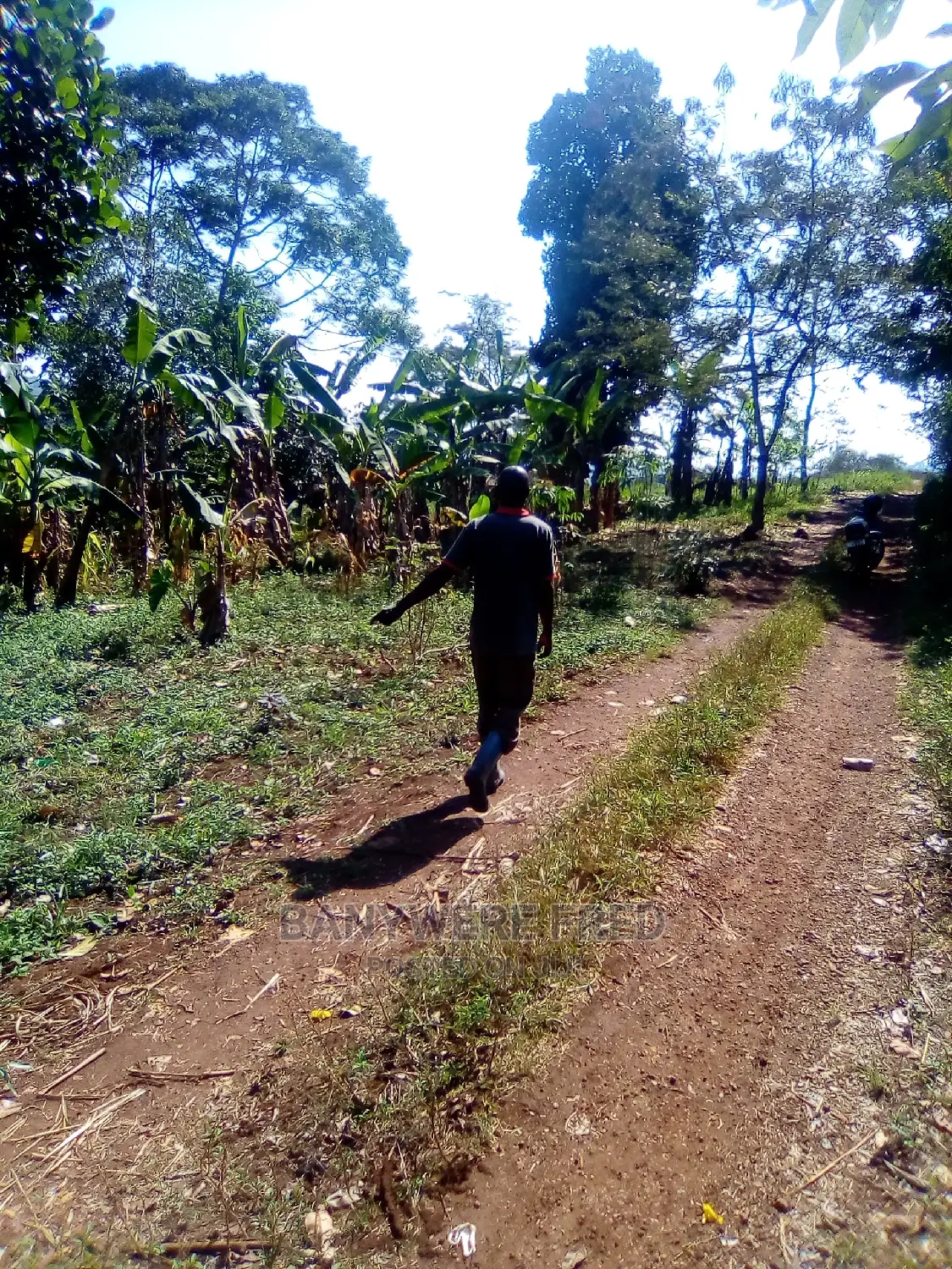 150/100 Plot for Sale in Kisoga in Ntenjeru / Mukono