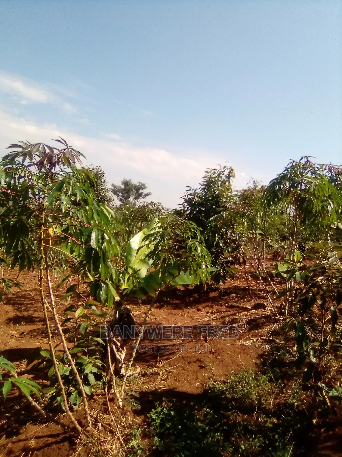 20 Acres of Industrial Land for Sale in Sugu in Nagojje
