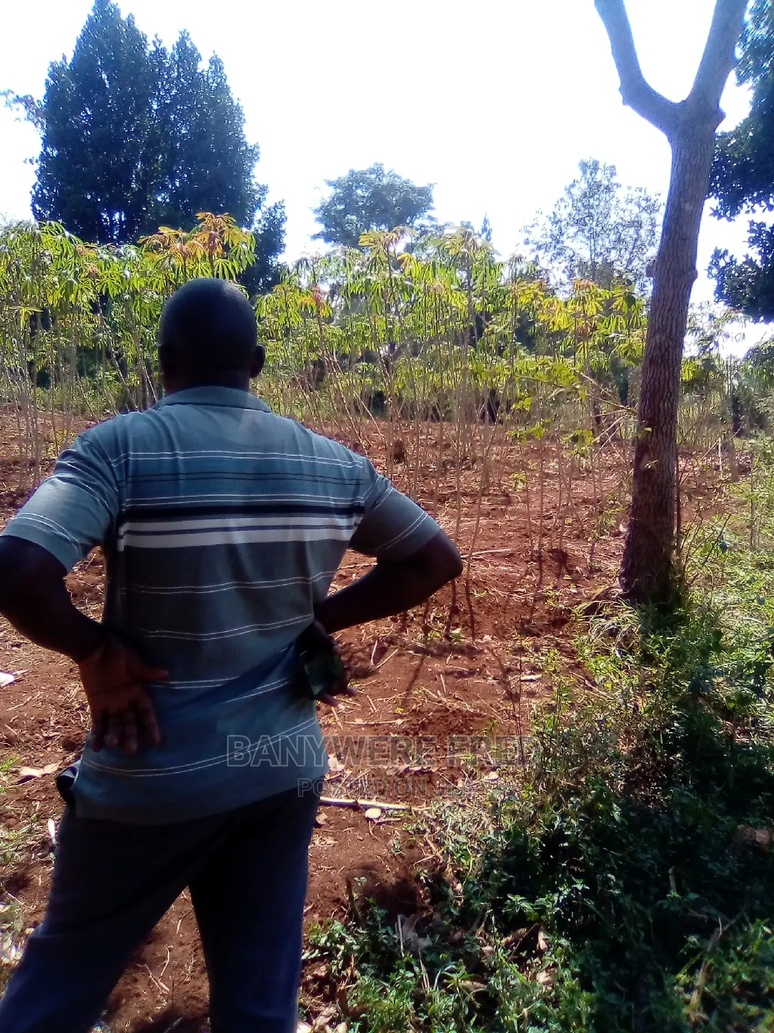 100/100 Plot for Sale in Ntenjeru in Ntenjeru / Mukono