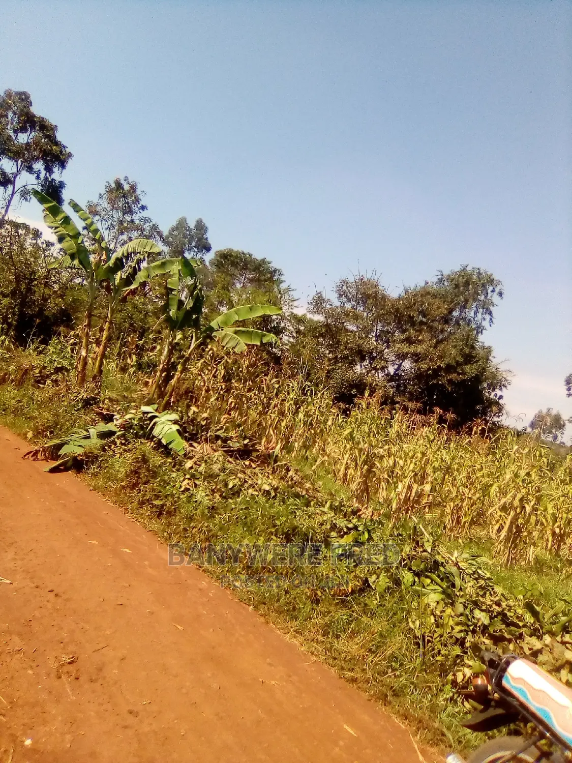 100/100 Plot for Sale in Ntunda in Ntunda