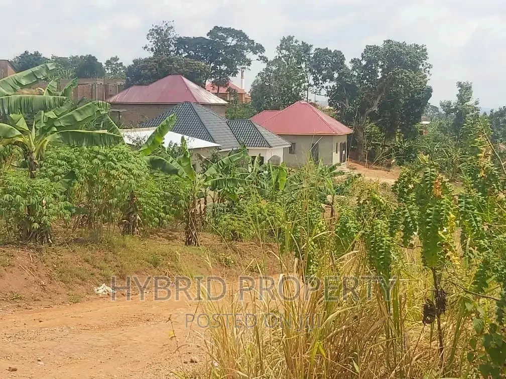 Residential Plot for Sale at Kikandwa~Kakiri Along Hoima Rd. in Kakiri