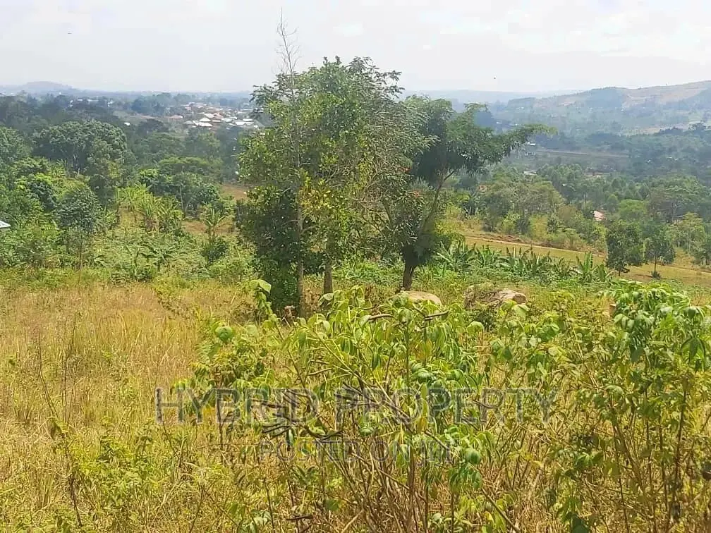 Residential Plot for Sale at Kikandwa~Kakiri Along Hoima Rd. in Kakiri