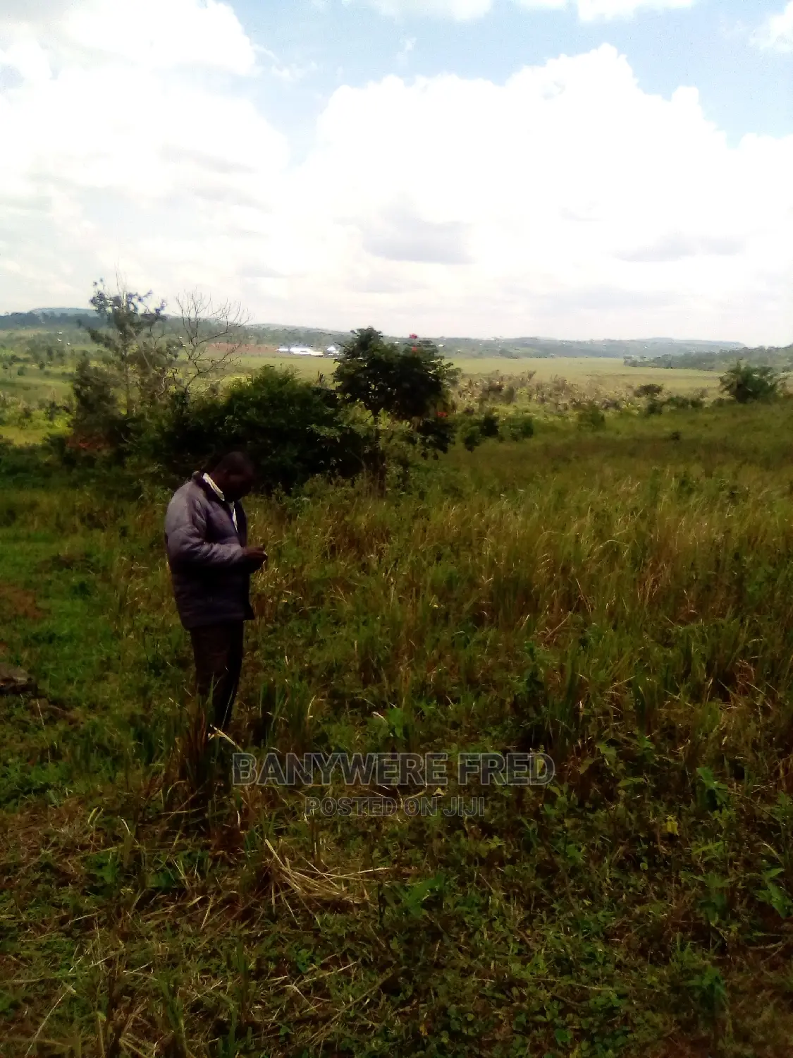 24 Acres in Bwoya Kagala in Nagojje