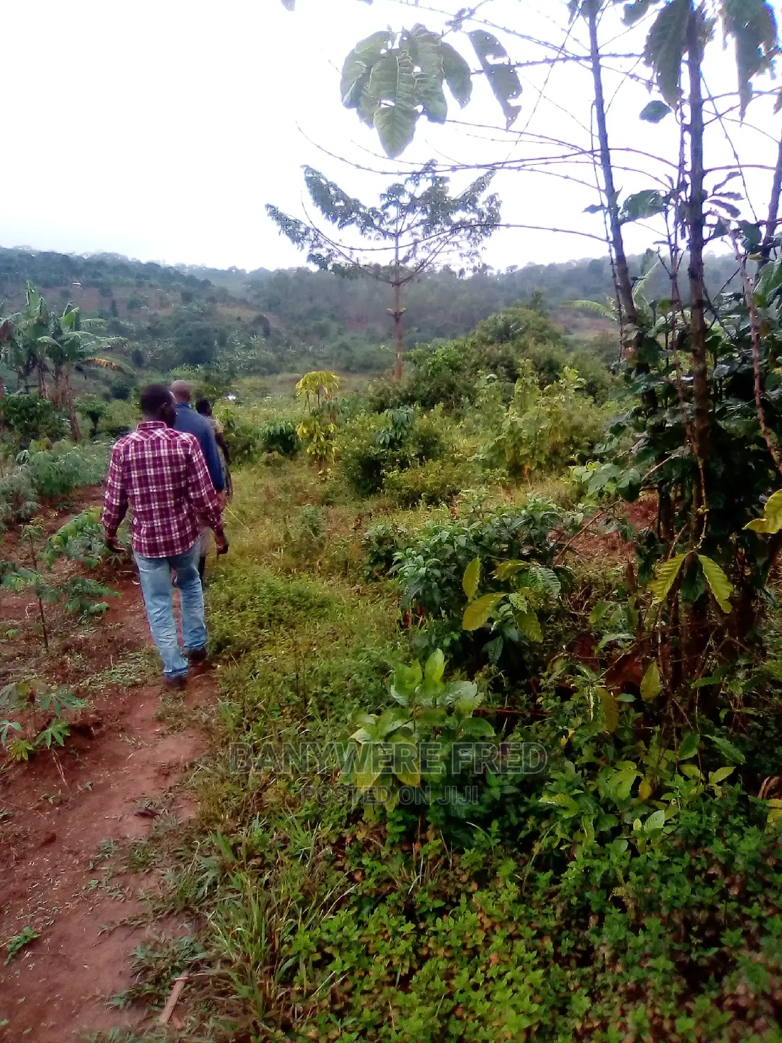 150/100 Plot for Sale in Nakifuma in Kasawo