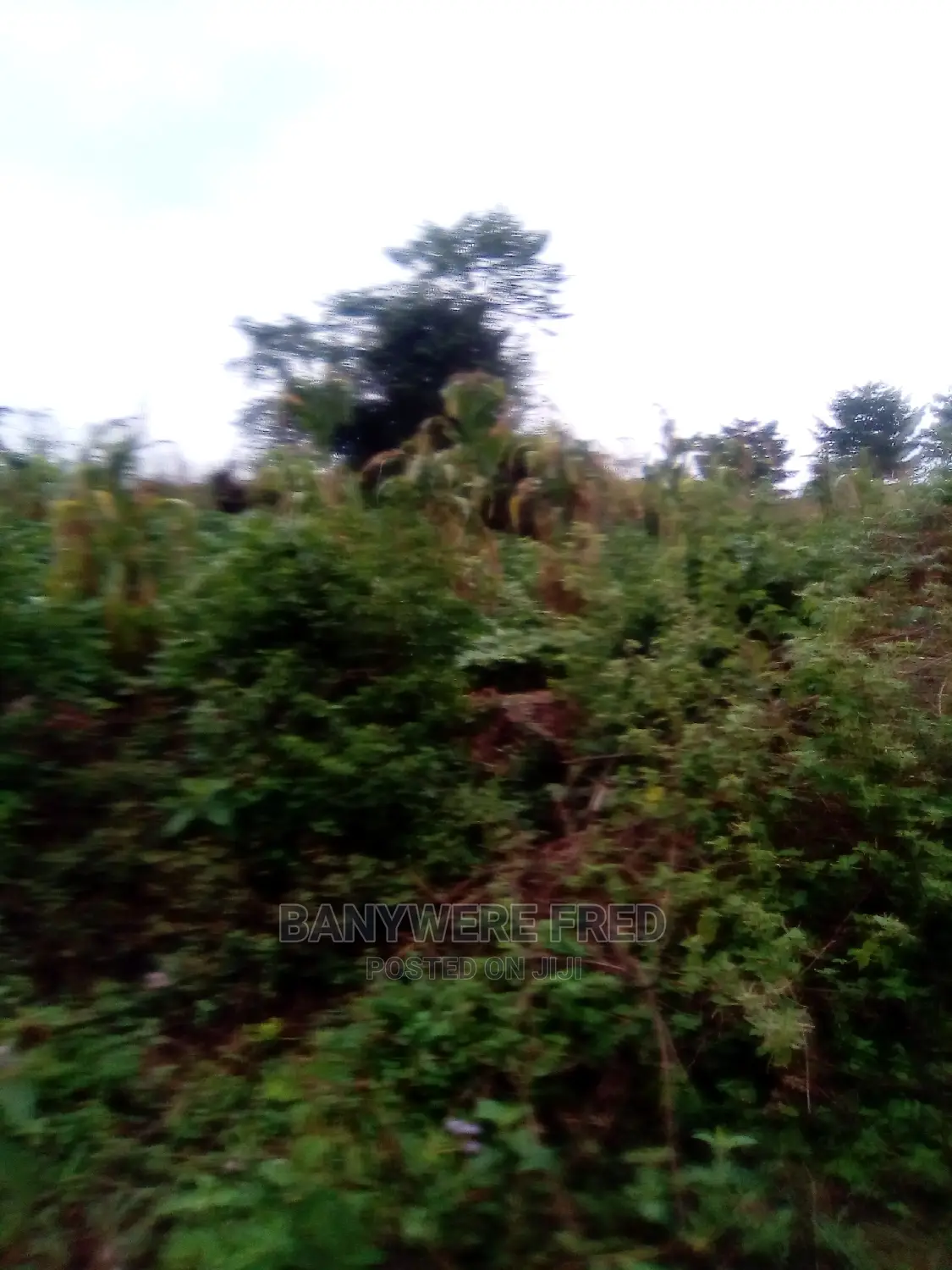 10acres of Farmland for Sale in Kasawo in Kasawo
