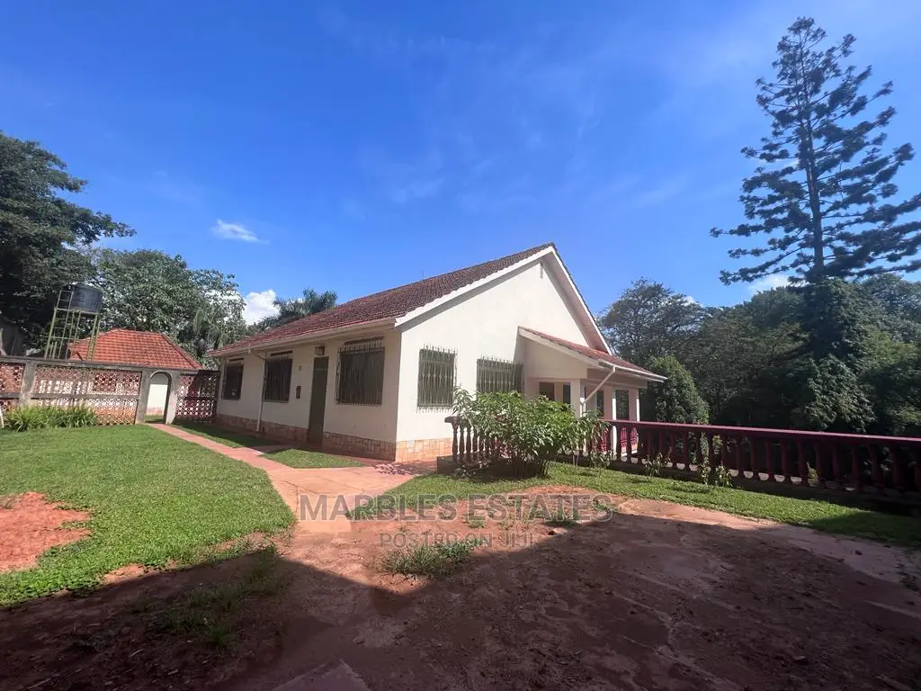 4bdrm Bungalow in Kololo, Central Division for Rent in Central Division