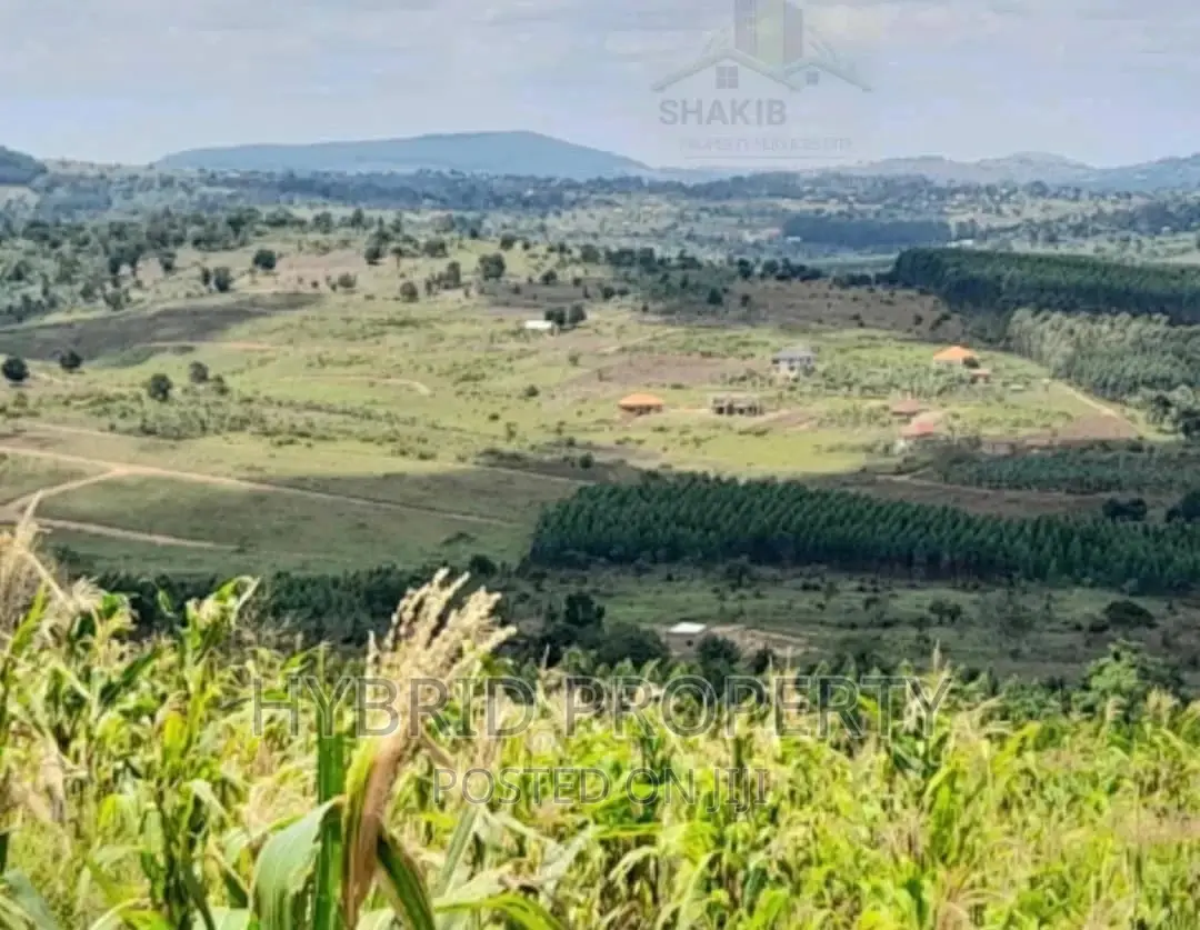 Plots for Sale at Kakiri~Simbamanyo Land Estate~Hoima Road. in Kakiri