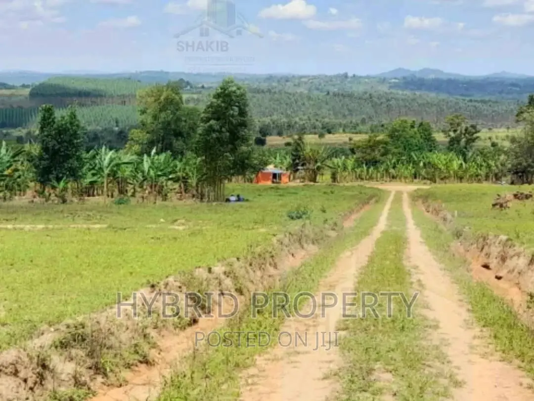Plots for Sale at Kakiri~Simbamanyo Land Estate~Hoima Road. in Kakiri
